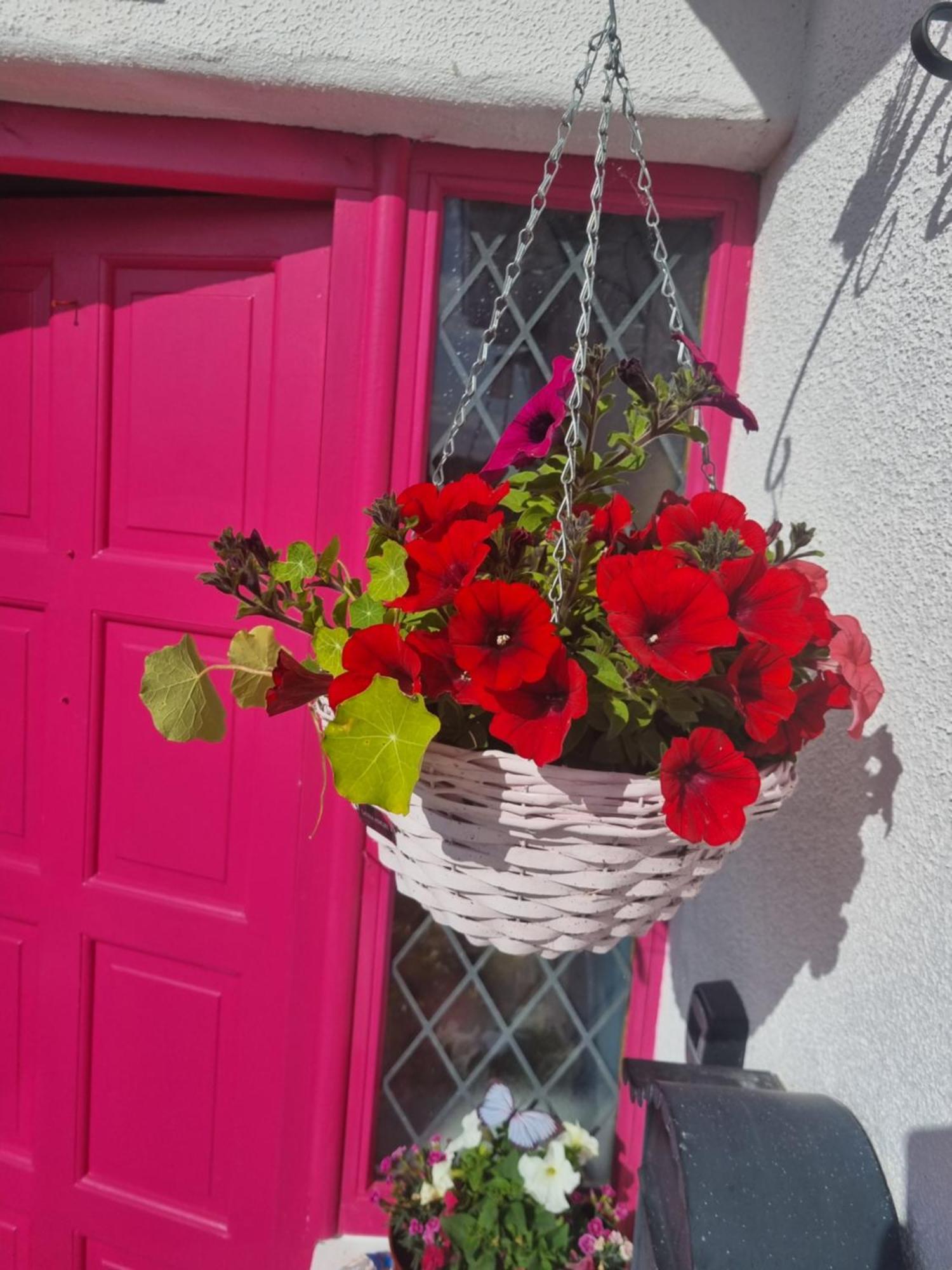 The Pink Door Killala Exterior foto